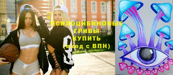 соль ск Алексин