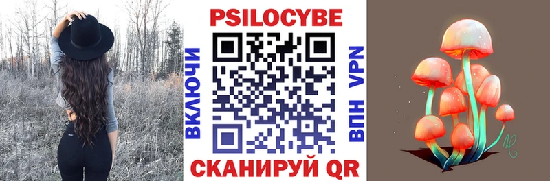 Псилоцибиновые грибы Psilocybe  Заполярный 